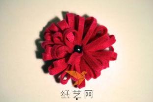 复杂花视频,揭秘大自然中的奇妙花色世界